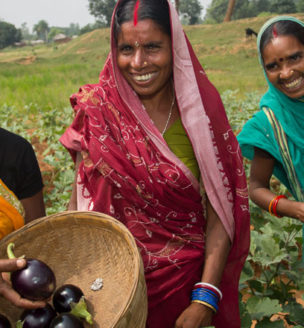 Indian women with baskets of eggplants