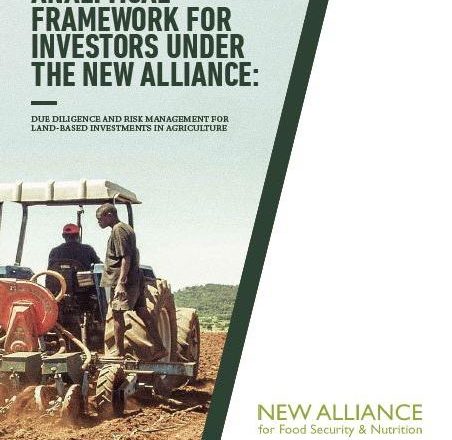 Analytical Framework for Investors Under the New Alliance