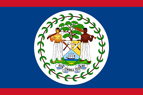 An image of the country's flag.