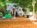 Tajikistan’s Path to Prosperity Depends on Creating an Accessible, Equitable Market for Land