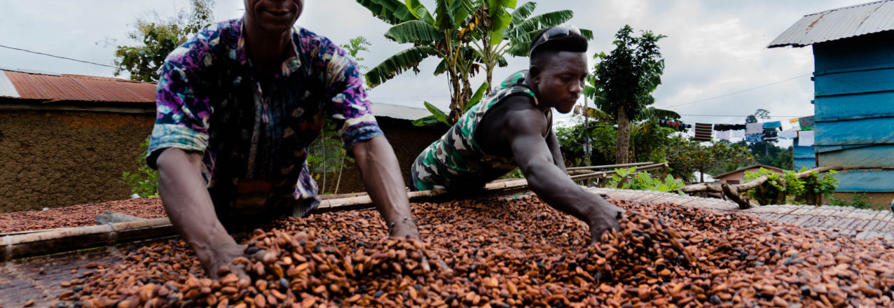 The TGCC Ghana project partnered USAID and Ecom Trading, Hershey Chocolate’s Ghanaian cocoa supplier, is helping boost tenure security and cocoa production for vulnerable cocoa farmers like Khosa. Photo credit: Rena Singer