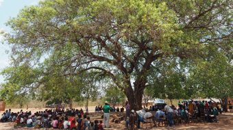 community meeting under a tree