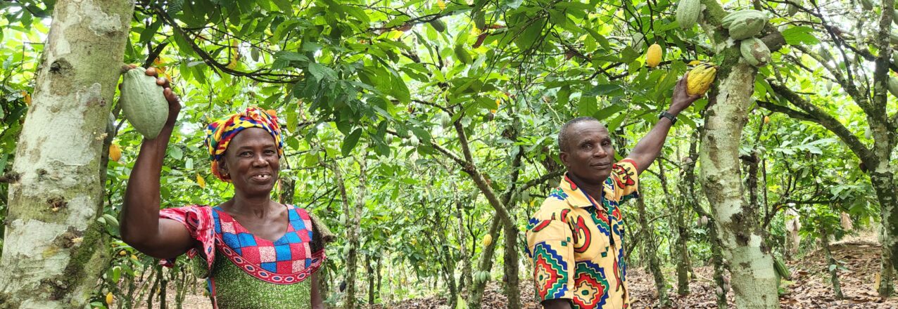 a man and a woman stand among their cocoa farm