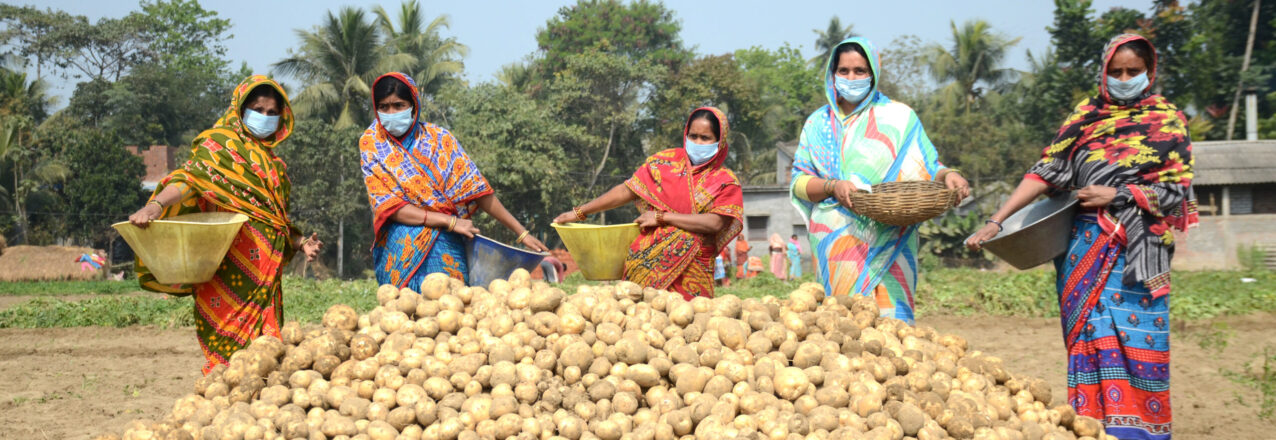 a group of women standing with a large pile of potatoes