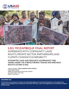 ILRG Mozambique final report cover image