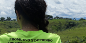 Environmental Defenders Under Threat – Global Lessons from the Amazon